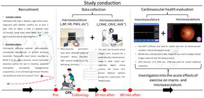 Acute effects of exercise on macro- and microvasculature in individuals with type 1 diabetes – a secondary outcome analysis